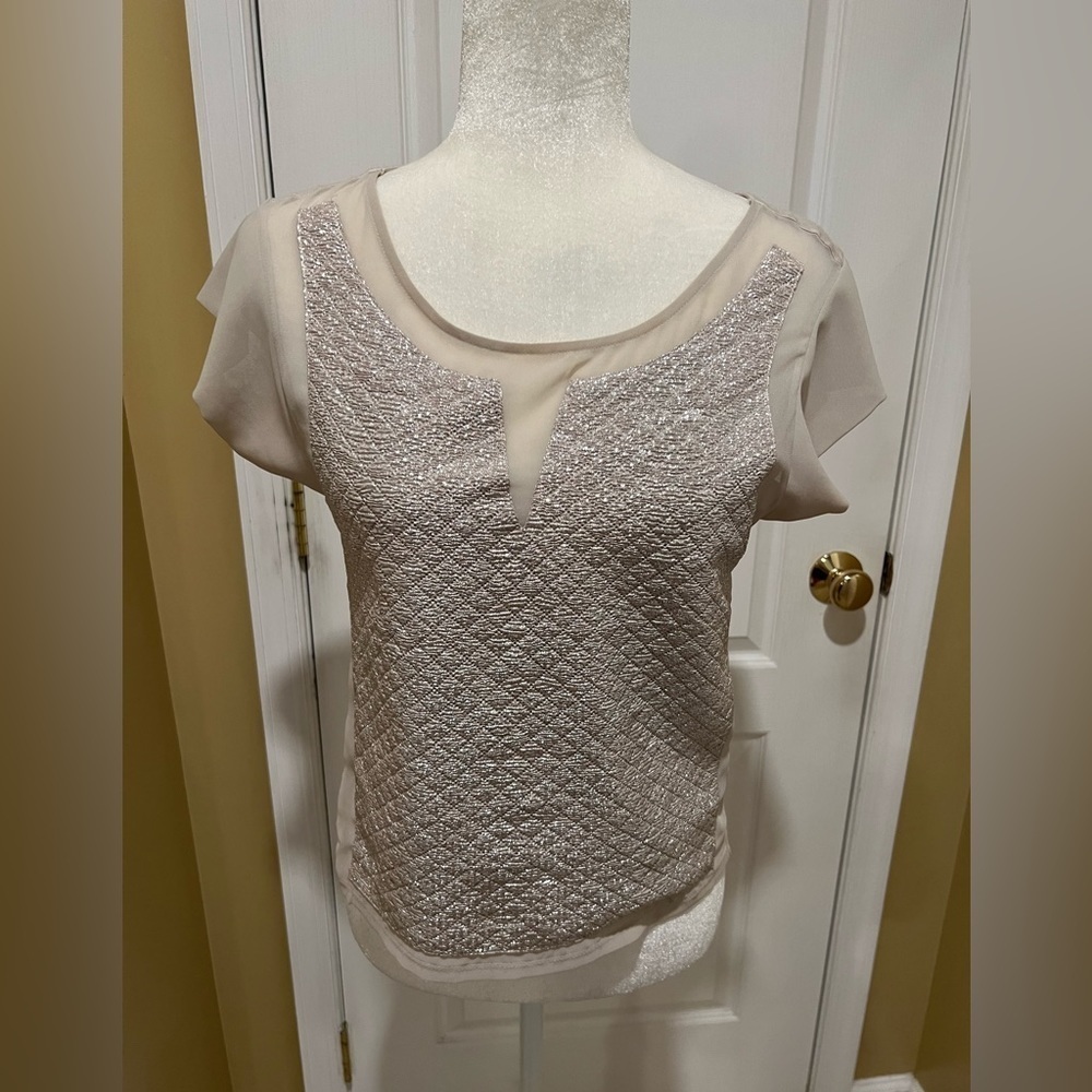 Express Size XS Metallic Shimmer Boxy Blouse